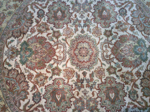 Traditional 6 x 9 Ivory Rug #14306