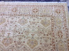 Load image into Gallery viewer, Traditional 9 x 12 Beige Rug #6738