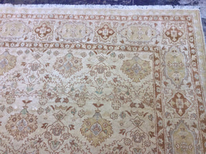 Traditional 9 x 12 Beige Rug #6738