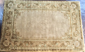 Traditional 6 x 9 Gold Rug #50959